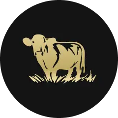 Spb logo